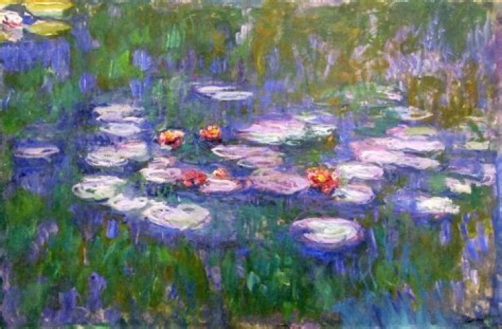 What did Monet focus in his painting water lilies answer?