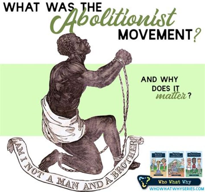 What did the abolitionist movement promote?