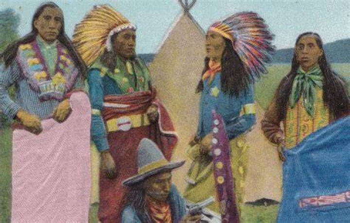 What did the Cherokee use for medicine?