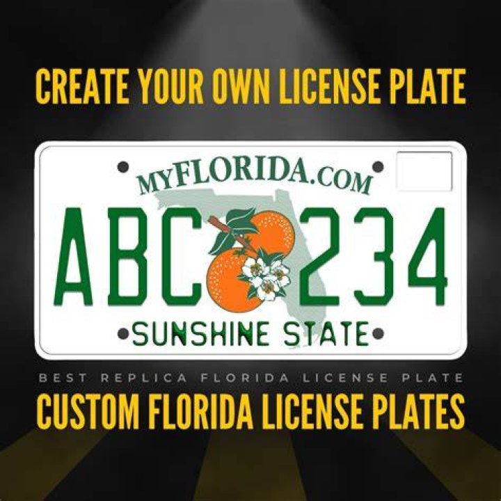 What do I do if I lost my license plate in Florida?