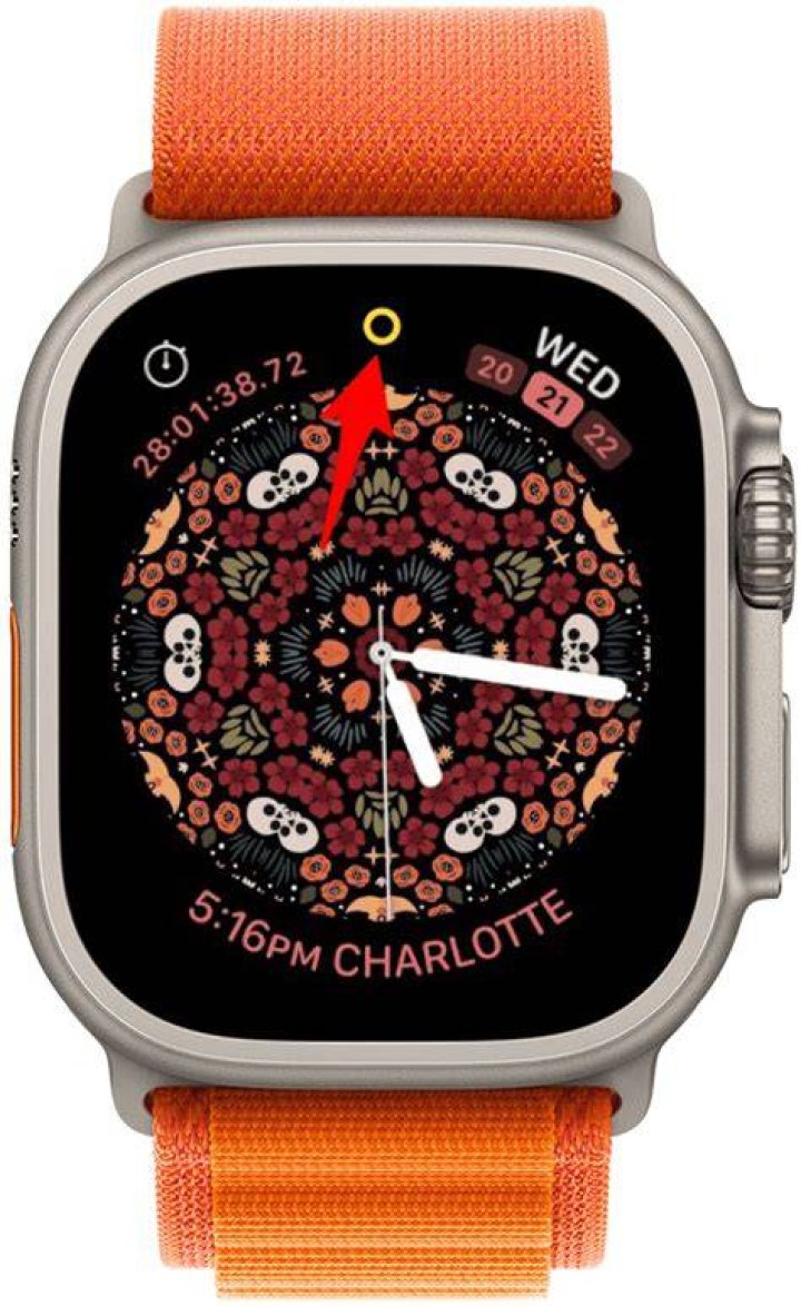 What do symbols on Apple watch mean?
