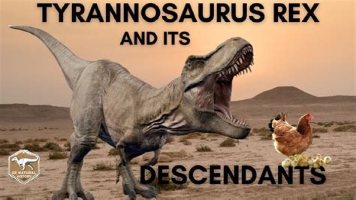 What do Taurus ascendants look like?