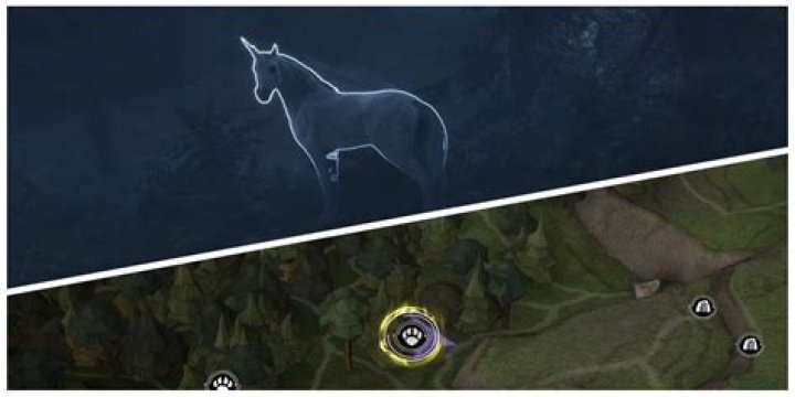 What do Thestrals represent?