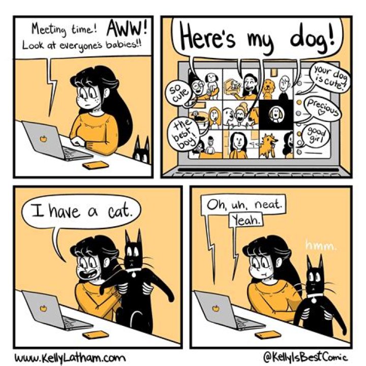 What do you call comic book fans?