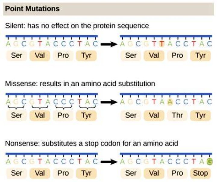 What do you do with Monster mutagens?