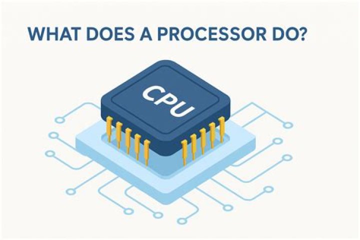 What does a lab processor do?