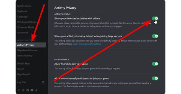 What does activity description mean?