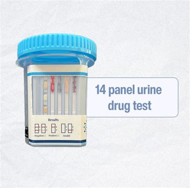 What does an eCup drug screen test for?
