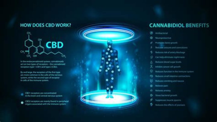 What does CBD of Denver do?