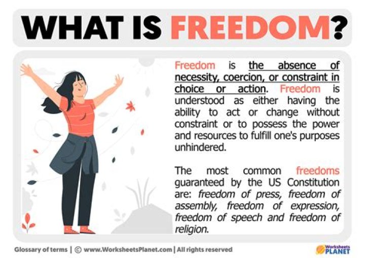 What does freedom from want represent?