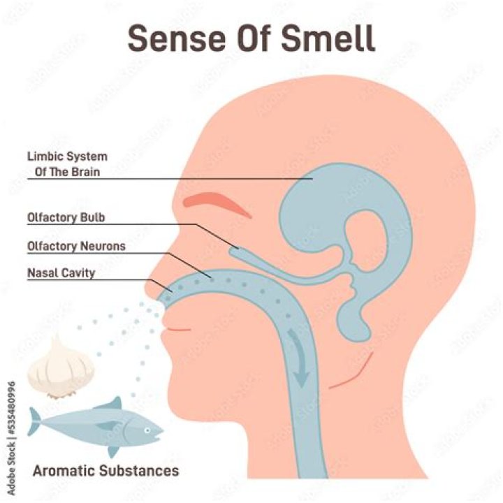 What does hydrogen in your breath smell like?