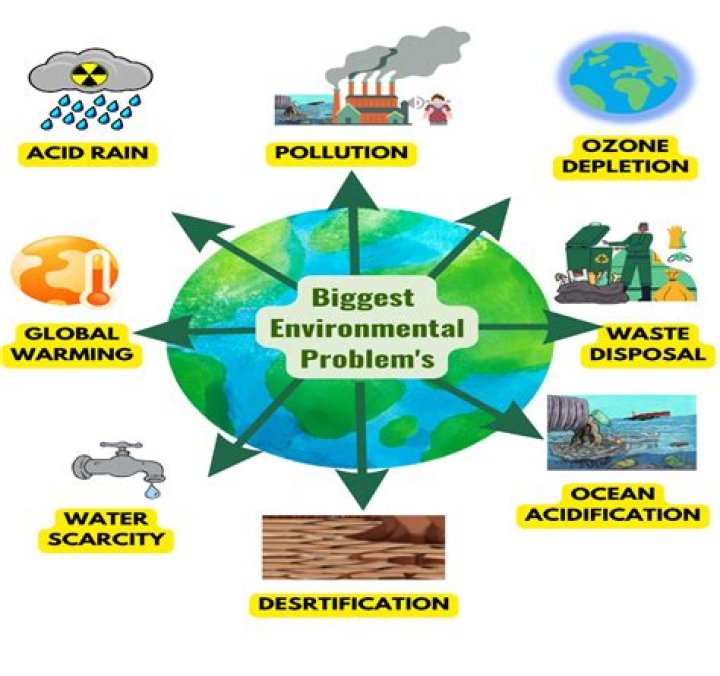 What does it mean to say that environmental problems are socially constructed?