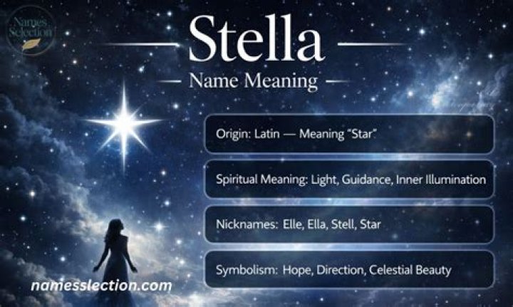 What does Stella mean in different languages?