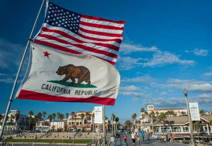 What does the bear represent on the California flag?