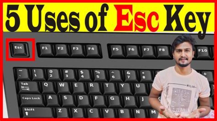What does the ESC module do?