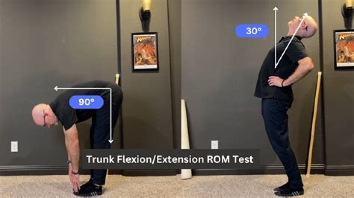 What does the trunk extension test measure?