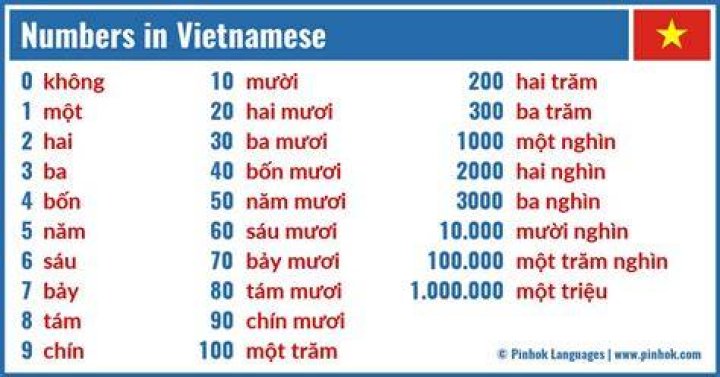 What does the word Vietnamese mean?