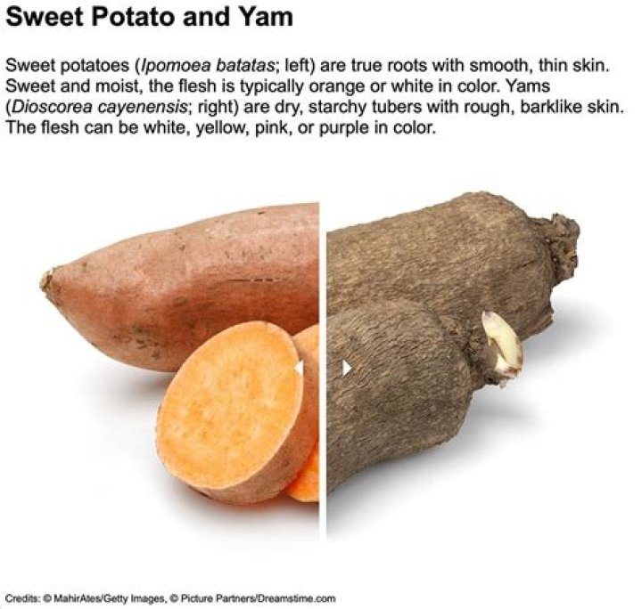 What does yellow yam look like?