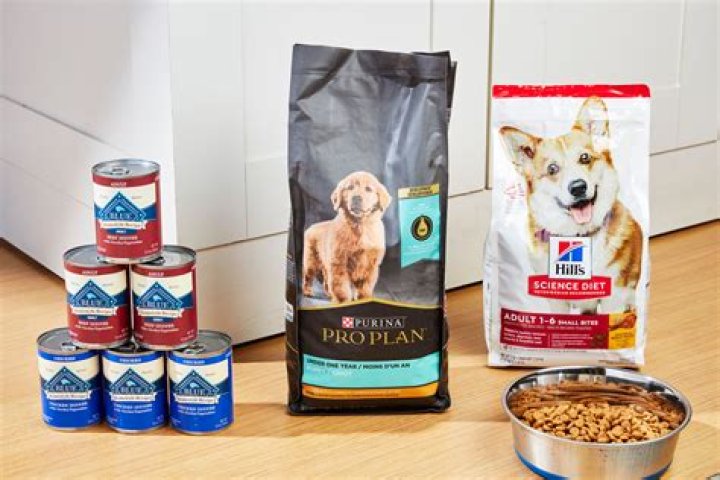 What dog food is better than Merrick?