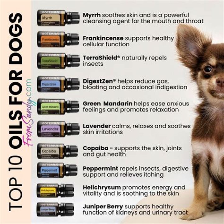 What Doterra oil is good for neck pain?