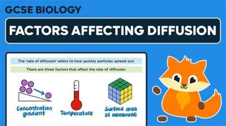 What factors affect a fish's breathing rate?