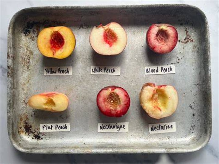 What fruit goes with nectarines?