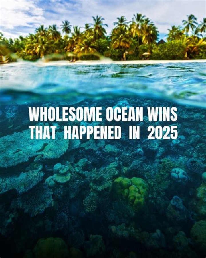 What happened to Ocean Falls?