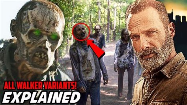 What happened to Walkers Cay?