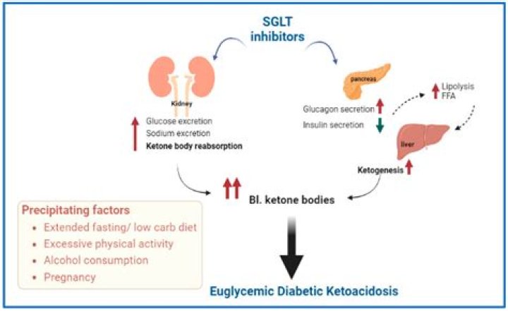 What happens if a diabetic is allergic to insulin?
