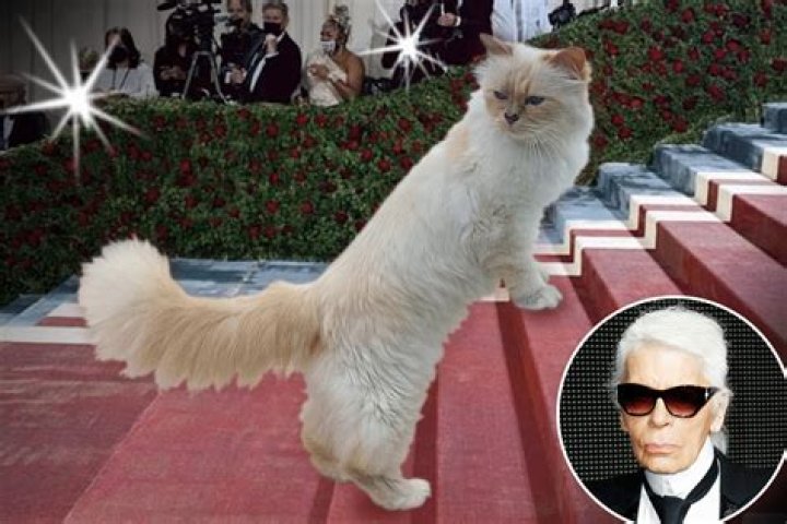 What happens to Choupette?