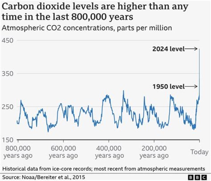 What happens to co2 levels at night?