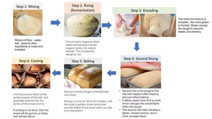 What happens to the gluten protein in the baking process?