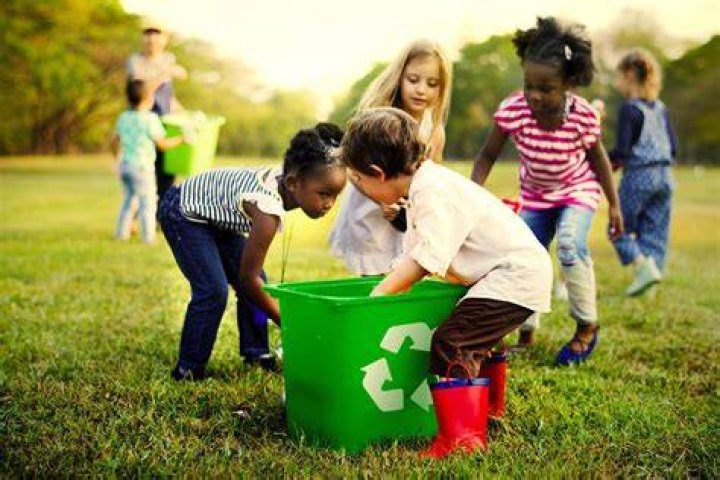 What interesting activities can you do as environmentalist?