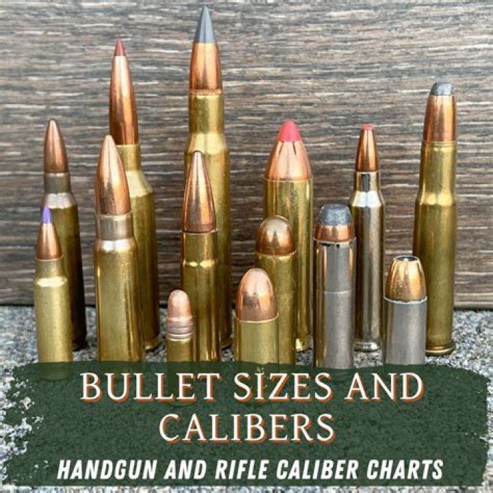 What is a .17 caliber rifle used for?