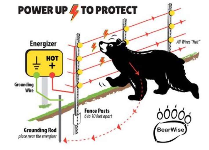 What is a bear fence?