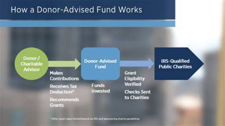 What is a donor advised fund IRS?