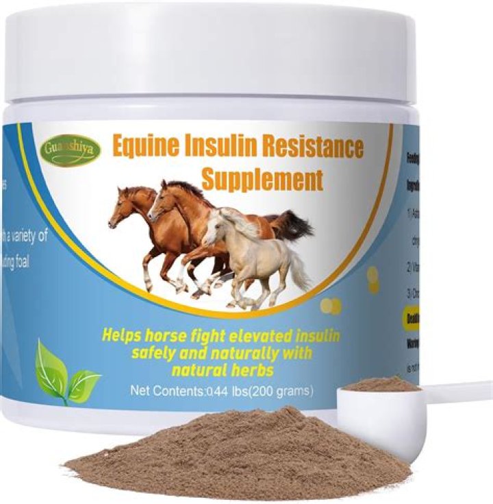 What is a good protein supplement for horses?