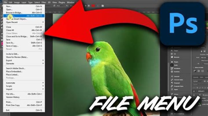 What is a Photoshop file called?