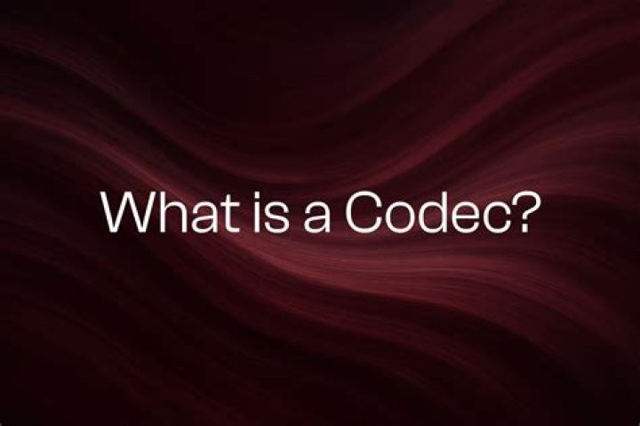 What is a Polycom codec?
