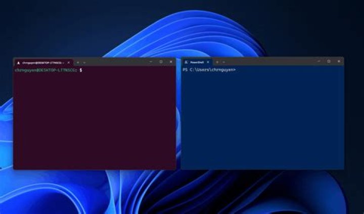 What is a terminal manager?