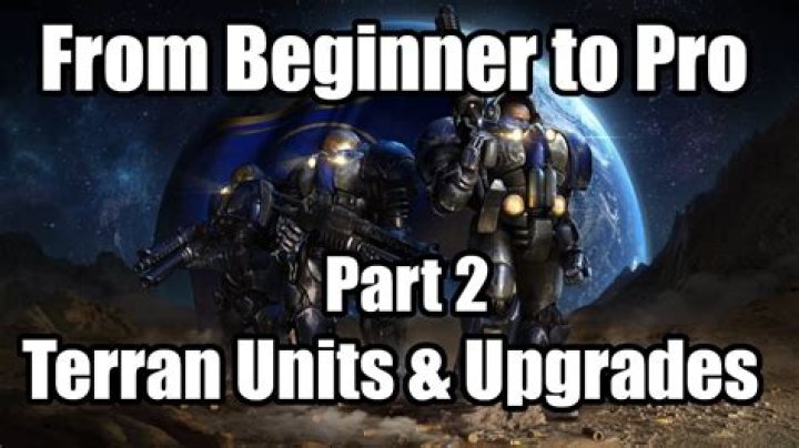 What is a Terran?