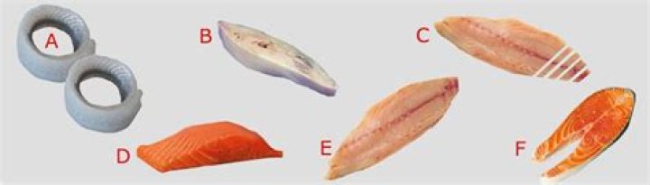 What is a Troncon of fish?