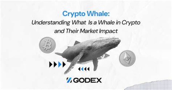 What is a whale trade?