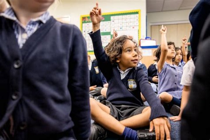 What is an aided primary school?