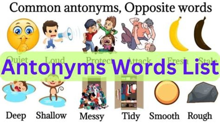 What is an antonym for apprehend?