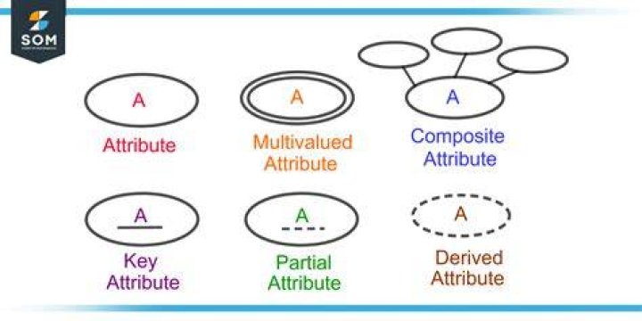 What is an attribute domain in database?