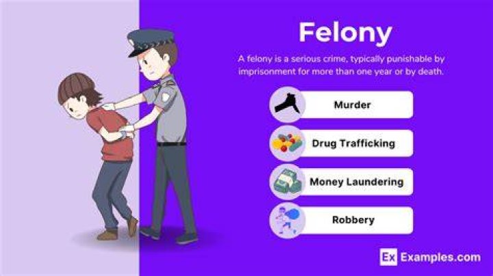 What is an example of a felony?