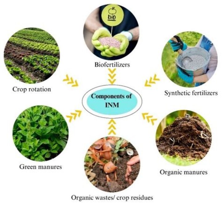 What is an organic nutrient?