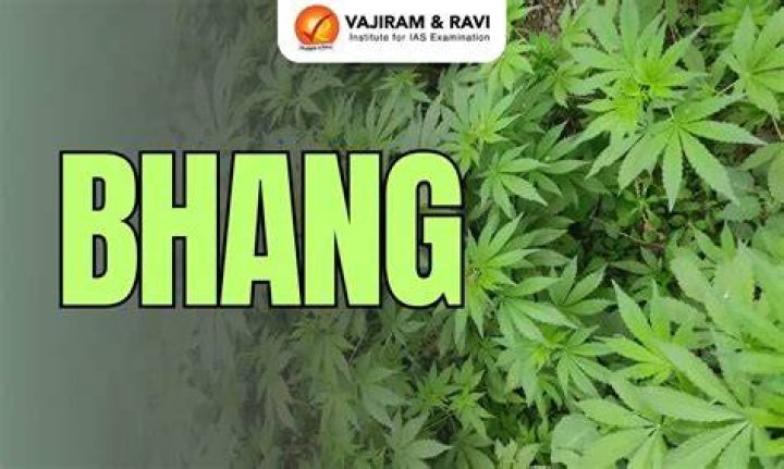 What is bhang English?