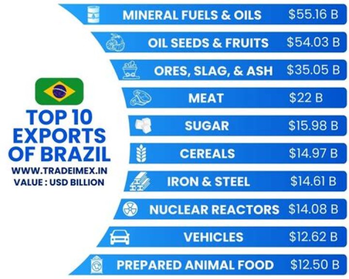 What is Brazil's major export?